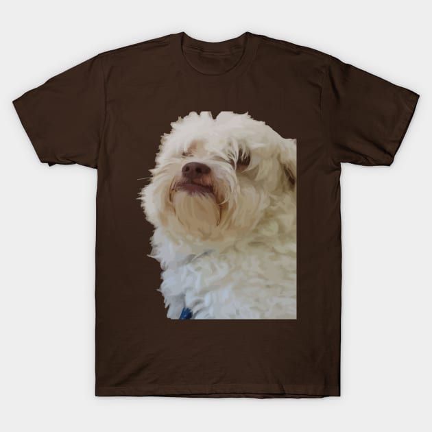 Dog with hair covering eyes clearance